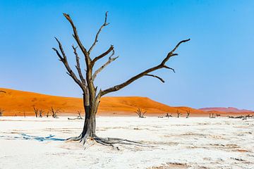 Namibië: een land van uitersten en adembenemende schoonheid. van Patrick Fotografeert