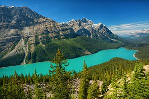 Parc national du lac Peyto à Banff