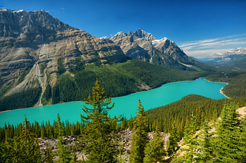 Peyto Lake Banff National Park
