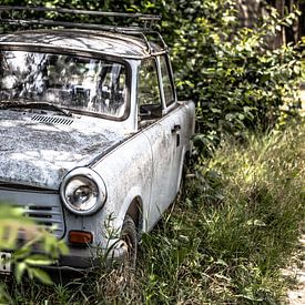 sentiment de nostalgie en découvrant cette Trabant dans la forêt sur Eric van Nieuwland