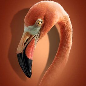 Flamingo artwork van Maikel van Willegen Photography