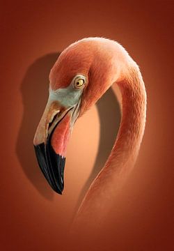 Flamingo artwork by Maikel van Willegen Photography
