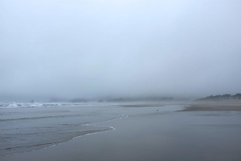 'Mist aan zee', Oregon  par Martine Joanne