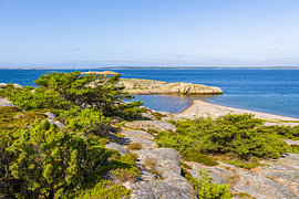 Rocks and trees on the coast of the island of Saltö near Strömstad by Rico Ködder