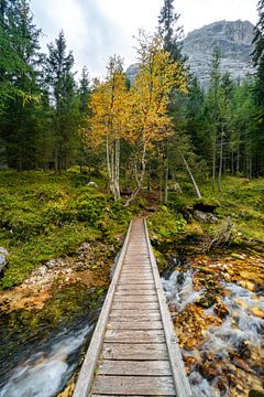 die kleine Brücke über den Fluss zum Herbst von Leo Schindzielorz