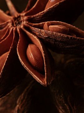 A piece of star anise