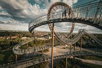 Uitzicht bij de Tiger & Turtle