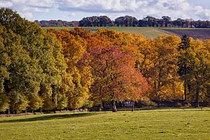 Allee der Bäume Kasteel Neubourg Gulpen