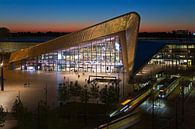 Nachtfoto Hauptbahnhofshalle Rotterdam von Anton de Zeeuw Miniaturansicht