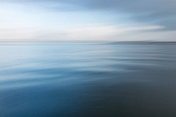 Sentiment de bleu sur Pauline Rote