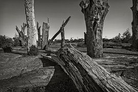 Molenplas Stevensweert von Rob Boon