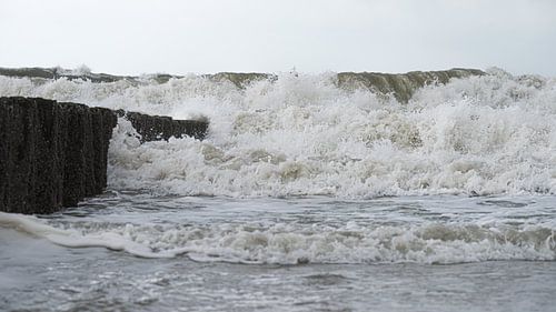 De golven komen eraan!