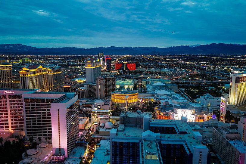 Las Vegas by Hello Pompoyo