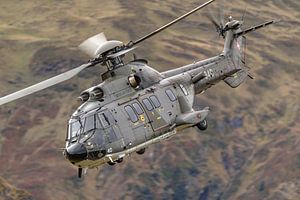 Schweizer Eurocopter AS 532UL Cougar (T-340).