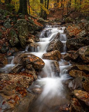 autumn rapids van Guy Lambrechts