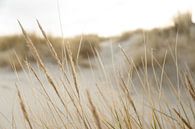 Dünen und Strand auf einer Watteninsel | Natur Kunstfoto von Karijn | Fine art Natuur en Reis Fotografie Miniaturansicht