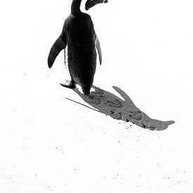 Pingouin sur Katrin Engl