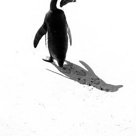 Pinguin von Katrin Engl