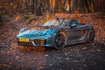 Porsche Boxster GTS type 981 by Rob Boon