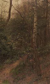 Birken am Waldrand, ALEXANDER KOESTER, Bis 1902 von Atelier Liesjes