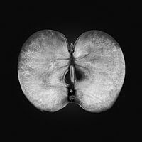Silhouette d'une coupe transversale de pomme