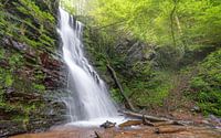 Klidinger Wasserfall, Eifel, Rheinland-Pfalz, Deutschland von Alexander Ludwig Miniaturansicht