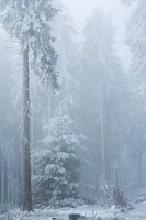 Winterlandschaft in Deutschland
