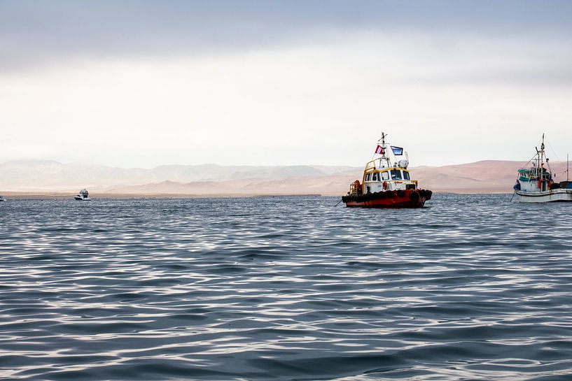 Meer in Peru. von Amy Verhoeven