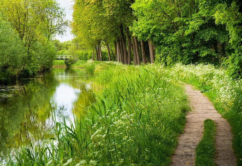 Landschap: "Vaart met Zandpad in het Groene Hart" van Coen Weesjes