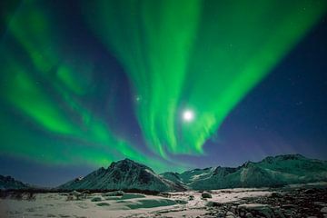 Noorderlicht aan de nachtelijke hemel boven Noord-Noorwegen van Sjoerd van der Wal Fotografie