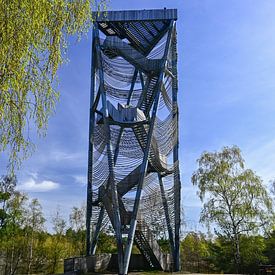 The Giant of Bosland in the Lommel Sahara by Kristof Leffelaer
