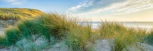 paysage marin avec le paysage de dunes sur eric van der eijk