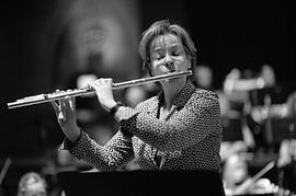 De dwarsfluitiste van Rob van Dam