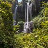 Sekumpul Wasserfall, grüne schlucht in Buleleng, Bali, Indonesien von Fotos by Jan Wehnert