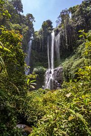 Sekumpul waterval, groene kloof in Buleleng, Bali, Indonesië van Fotos by Jan Wehnert