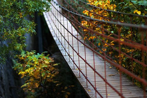 The walking Bridge