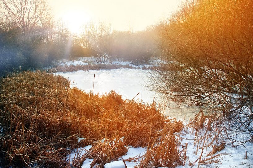 Sunrise by Bo Valentino