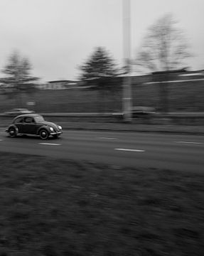 Beetle by @rsphotograp_hy