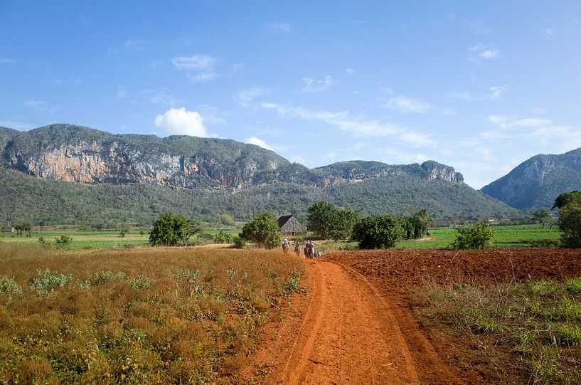 Landscape in Vinales, Cuba by Kees van Dun