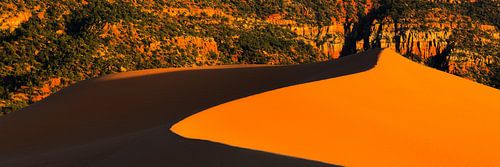 Sunset at the Coral Pink Sand Dunes