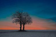 Sonnenaufgang in einer Winterlandschaft von Gert Hilbink Miniaturansicht