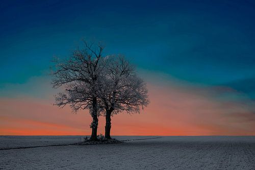 Sunrise in a winter landscape