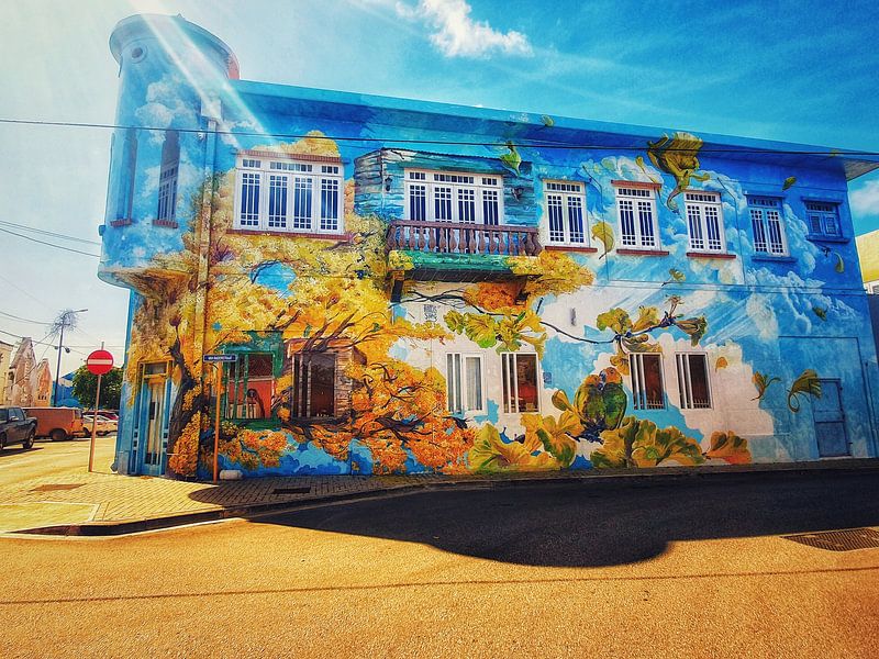 Street art in scharloo van Jesz .