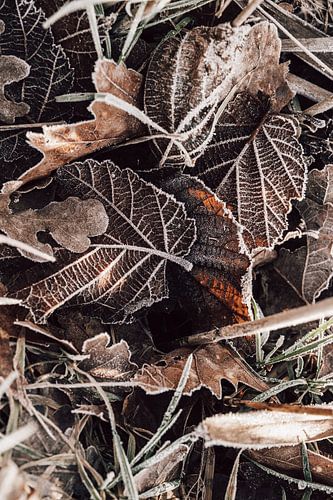 Arbeiten in der Landschaft 7