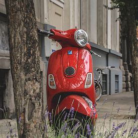 red scooter sur Leana De Wet