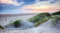 Beach of Egmond Binnen.