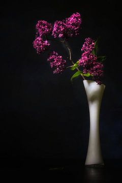 Nature morte avec lilas . sur Saskia Dingemans Awarded Photographer