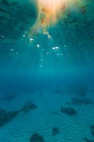 Underwater Bonaire (colour)