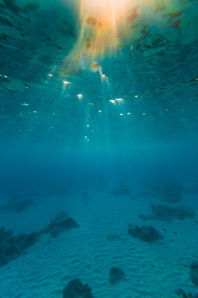 Onderwater Bonaire (kleur) van Andy Troy