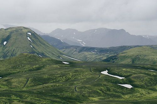 Green countryside in Iceland